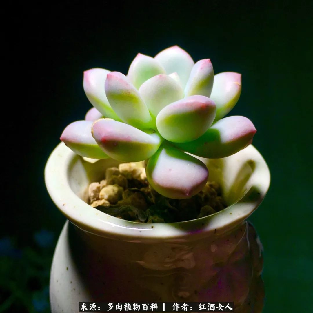 记录走过的美景留下美好的回忆,记录走过的每一段美好时光