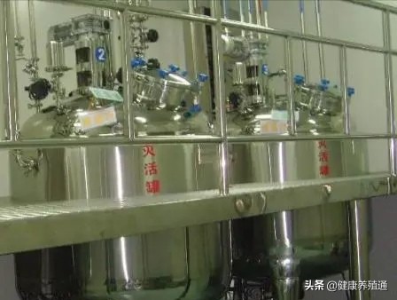 外购仔猪如何防病,养殖户自购疫苗关注事项