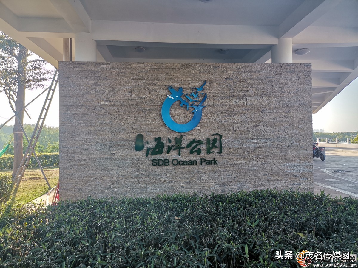 电白在崛起！——2021网络媒体看滨海（电白）采风活动