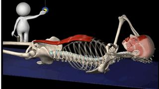 每天30个仰卧起坐多久练出马甲线,练马甲线仰卧起坐正确姿势
