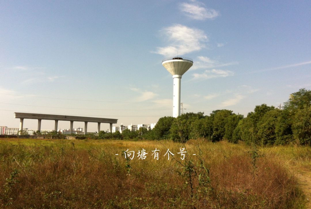 向塘好久不见,向塘中学