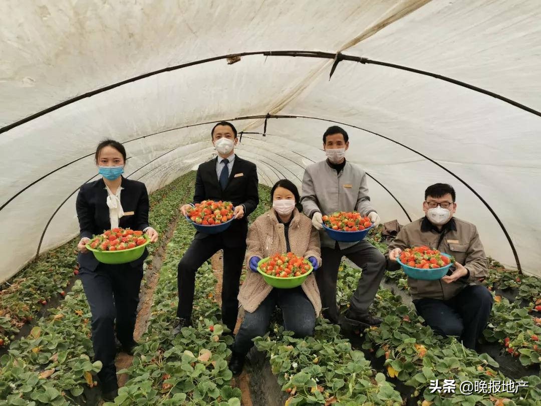 防控疫情展现坚守与奉献的力量,战疫情汇聚爱心传递温暖