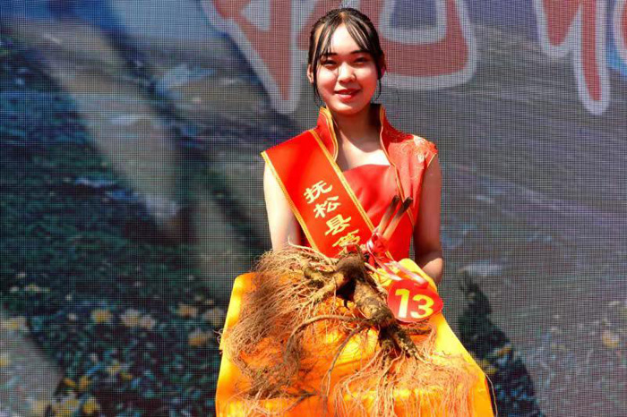 抚松县参王,抚松野山参参王