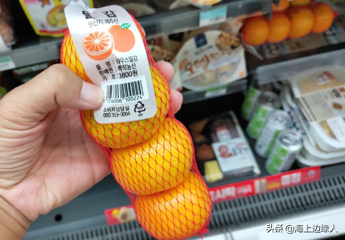 旅行日记：船员韩国下地购物，终于踏上陆地，心情无比激动