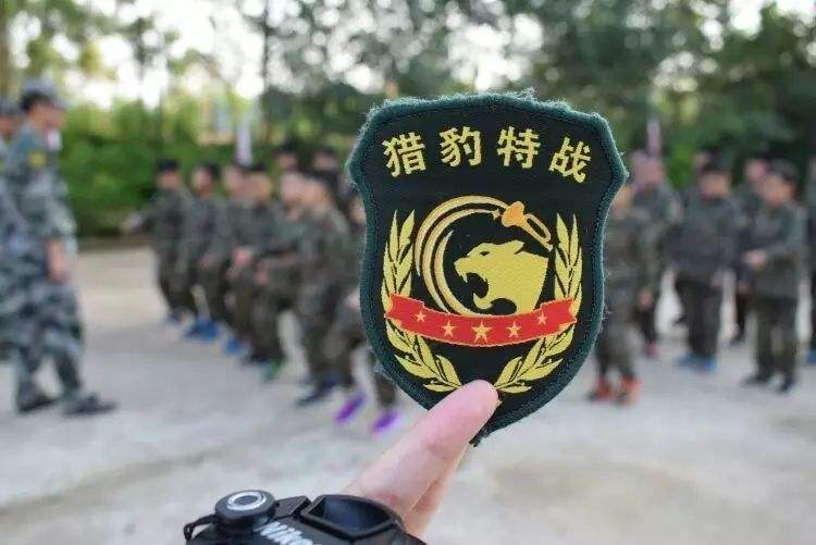 印军边境训练,印军边境军事训练