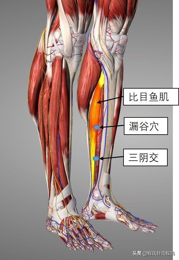 按揉三阴经觉得很疼,按揉三阴交和太冲很疼咋回事