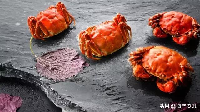 大闸蟹怎么吃才是最正确的,大闸蟹的正确吃法你知道吗