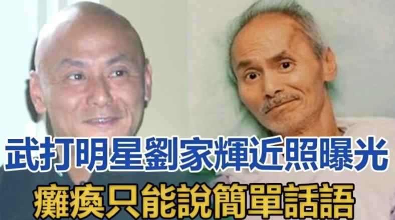 刘家辉黄飞鸿醉拳,刘家辉饰演黄飞鸿