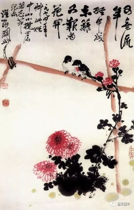 100种漂亮花卉图片,100张漂亮花图