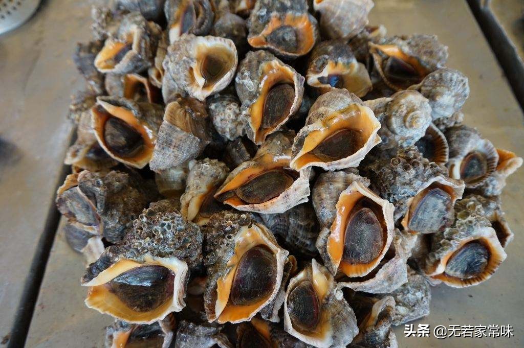 死臭海螺对人体伤害大，知道这4种挑选方法，能把海鲜小贩挑哭！