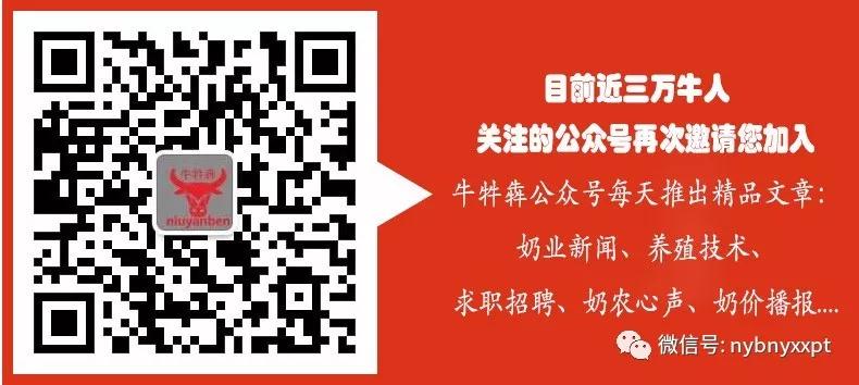 奶牛乳房炎反复发作咋办,奶牛乳腺炎用手挤奶正确手法