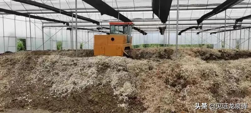 秸秆还田变肥料,如何利用秸秆做有机肥