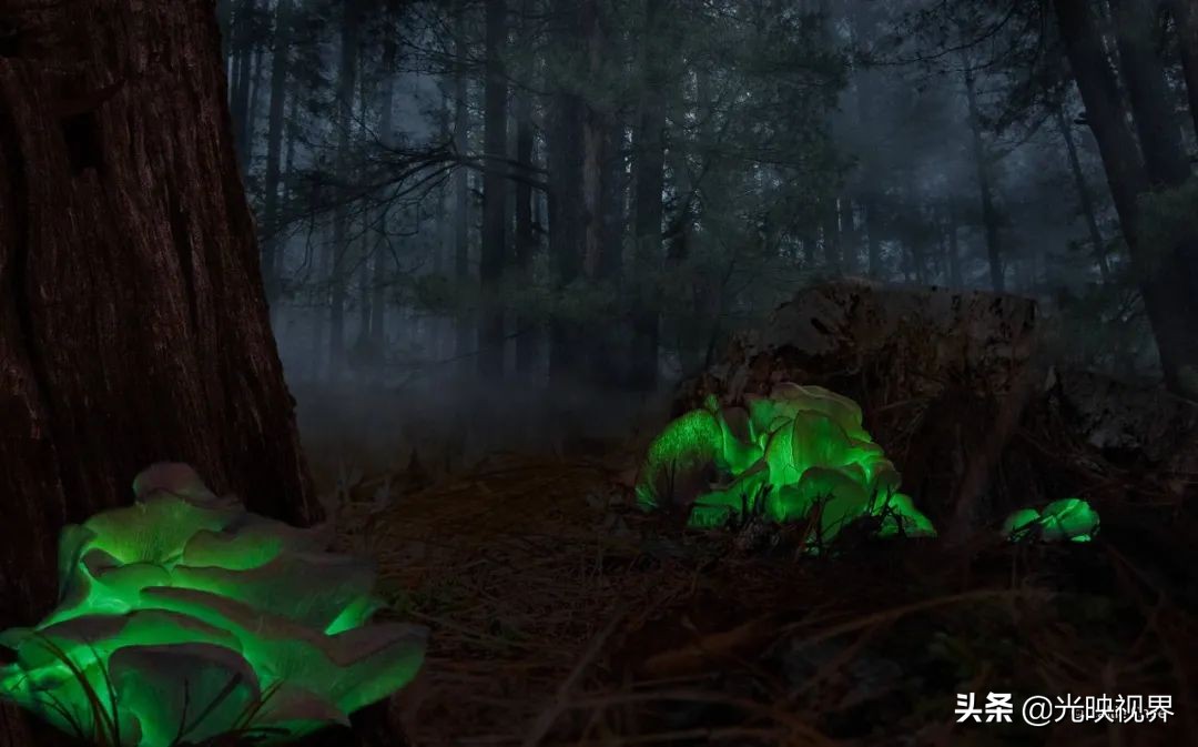 葡萄牙摄影大师获奖自然摄影作品,澳大利亚摄影师经典风景摄影作品