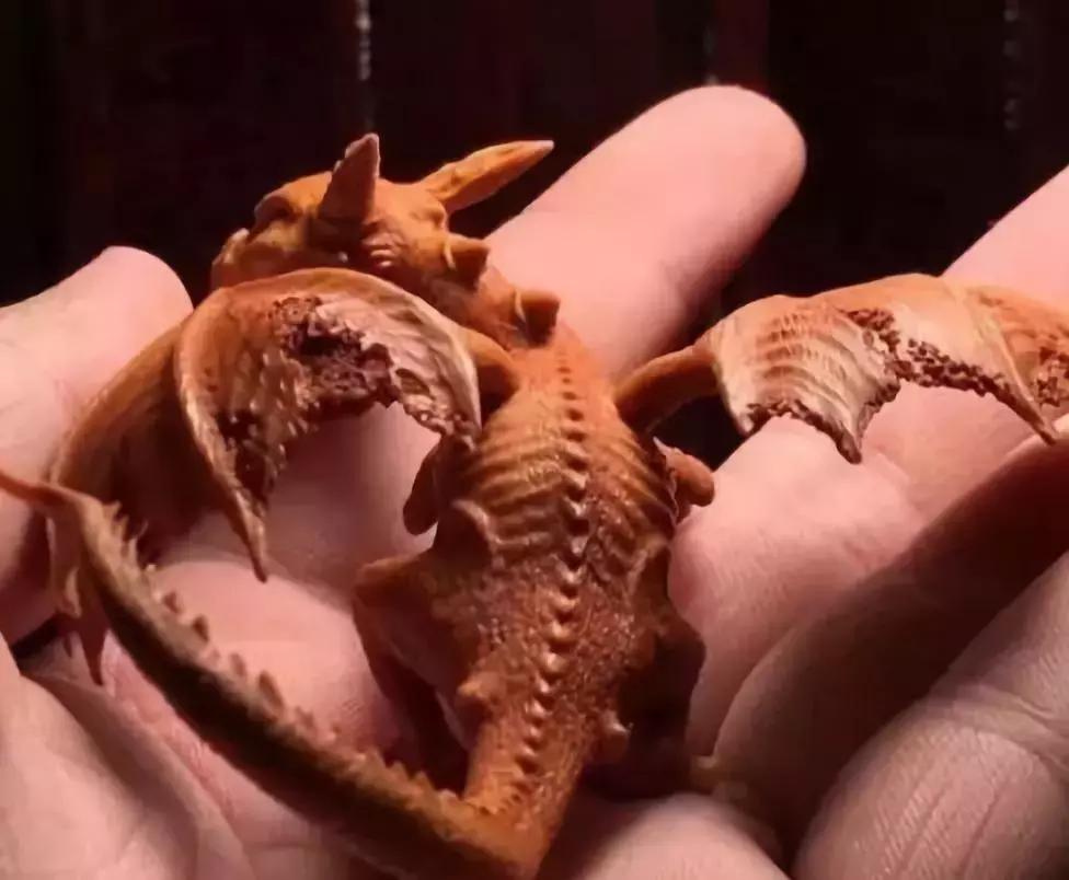 价值240万非洲的原木，雕刻成品出来后震惊全场，一片心疼声！