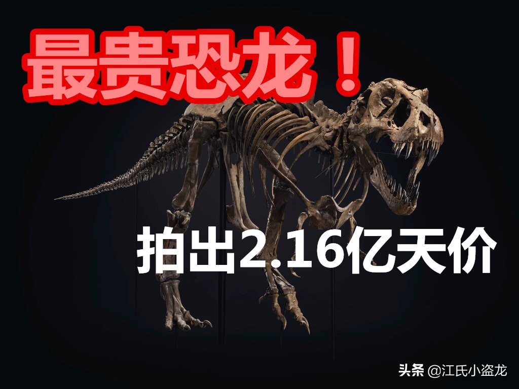 最珍贵的恐龙化石拍卖几十亿,史上最巨型恐龙