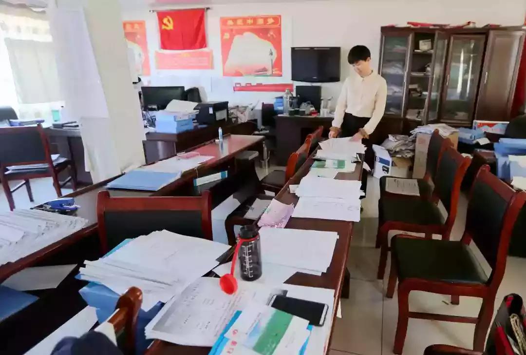 奈曼三花猫,奈曼三金