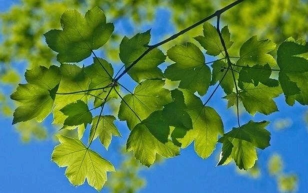 兰州小众啤酒餐厅,兰州不得不去的啤酒餐吧
