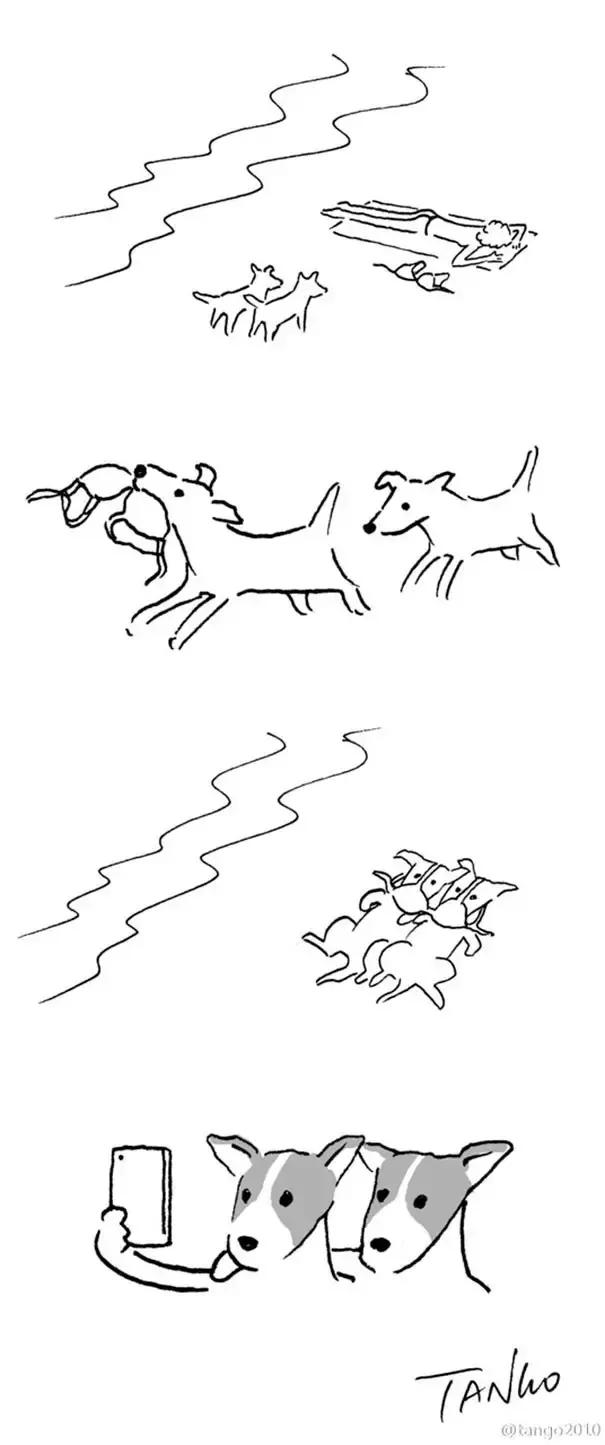 卧槽，这是谁画的，给我站出来，看完忍不住笑出猪叫