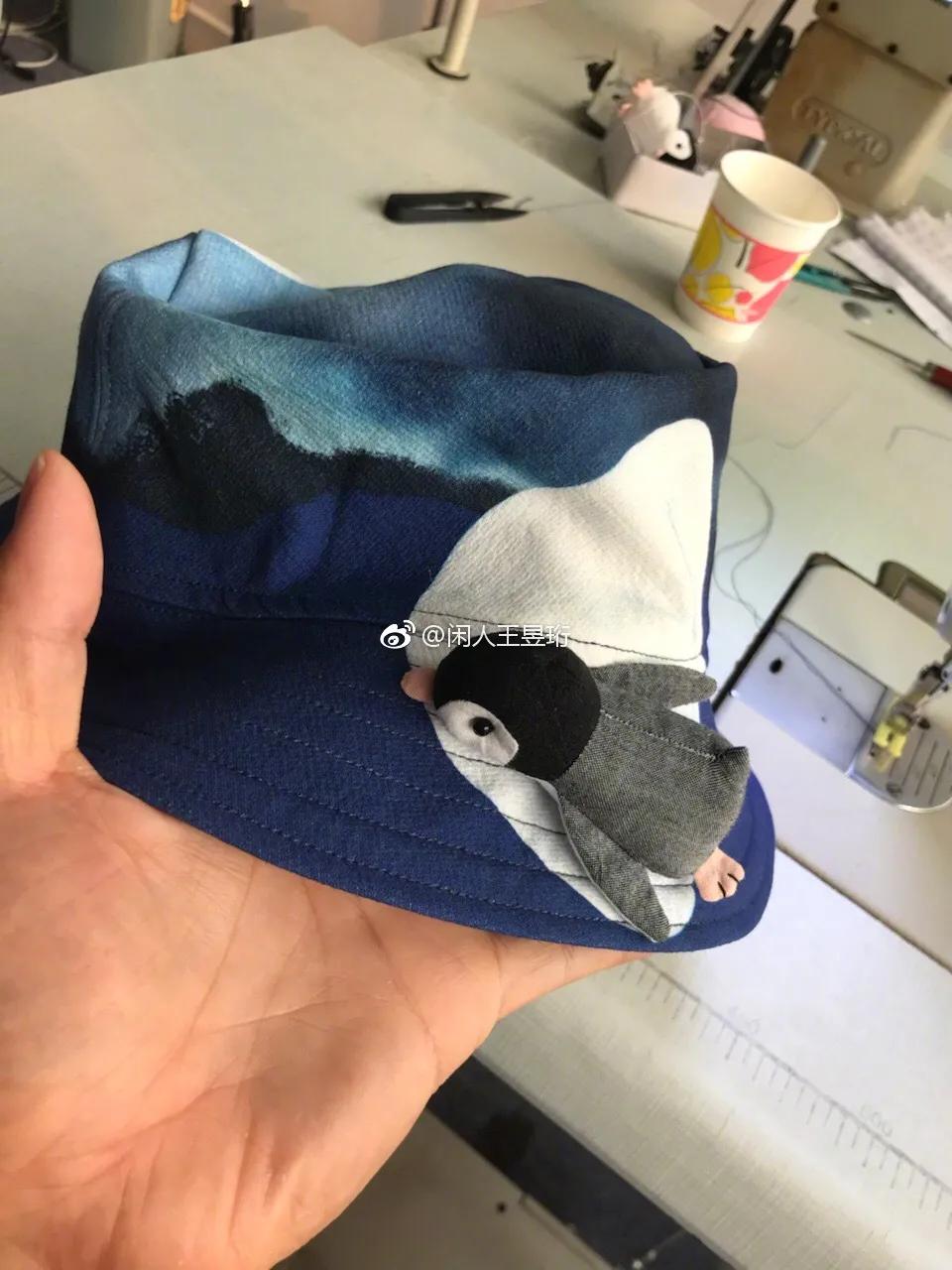 王昱珩上学经历,清华毕业的王昱珩