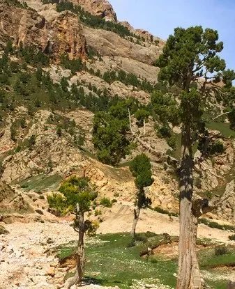 这条最“咸”最彩的公路，治好了我*藏西**的病，解掉了我*疆新**的毒