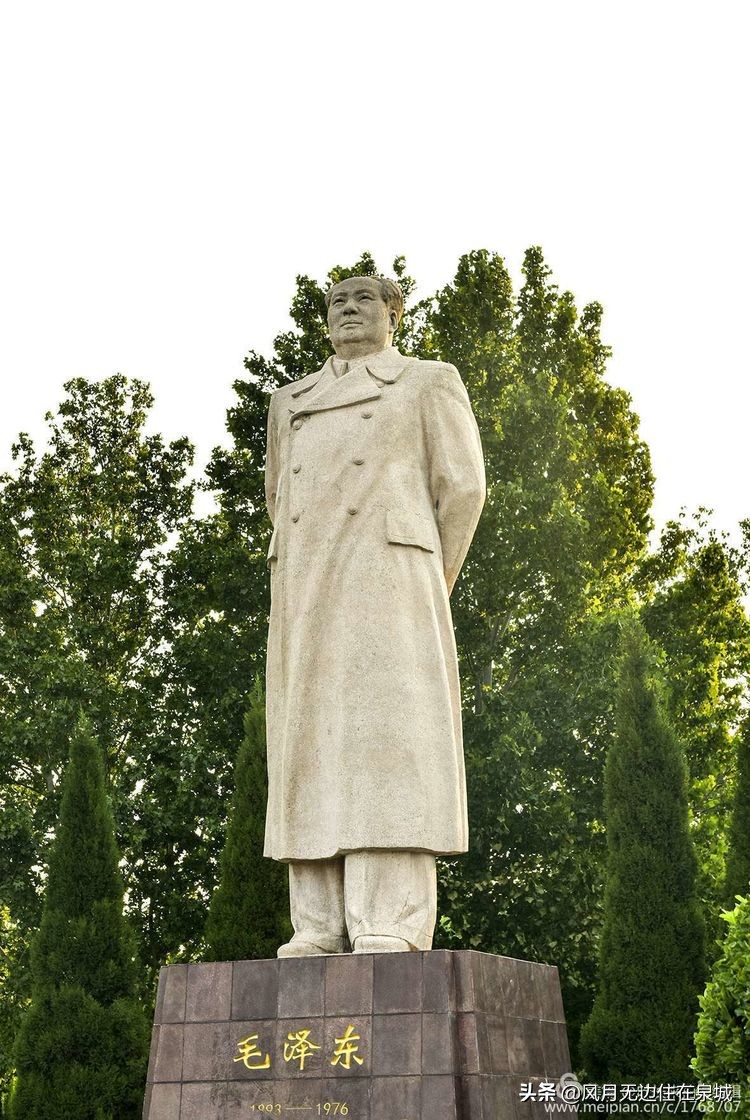 济南的法国梧桐,济南梧桐树美景