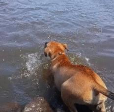 没有套套时，人类为了避孕有多「野」？