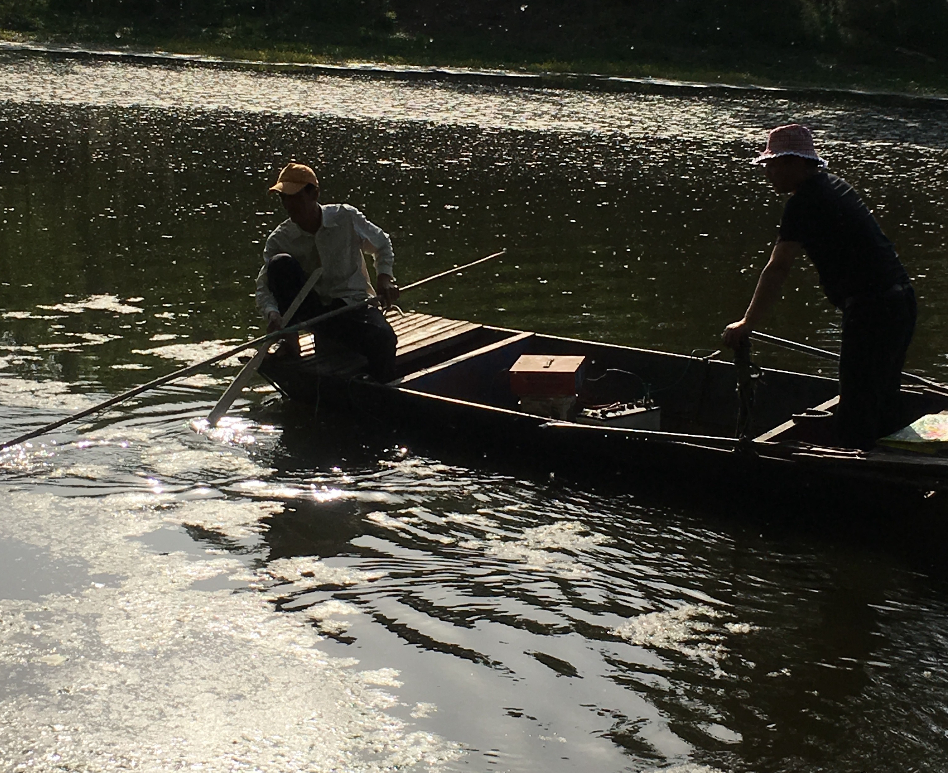 电鱼被抓到会怎么处理,电鱼被警察抓到会有什么事