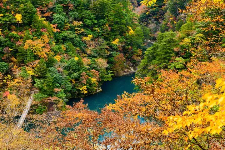 资深玩家推荐旅游,日本海滨度假胜地