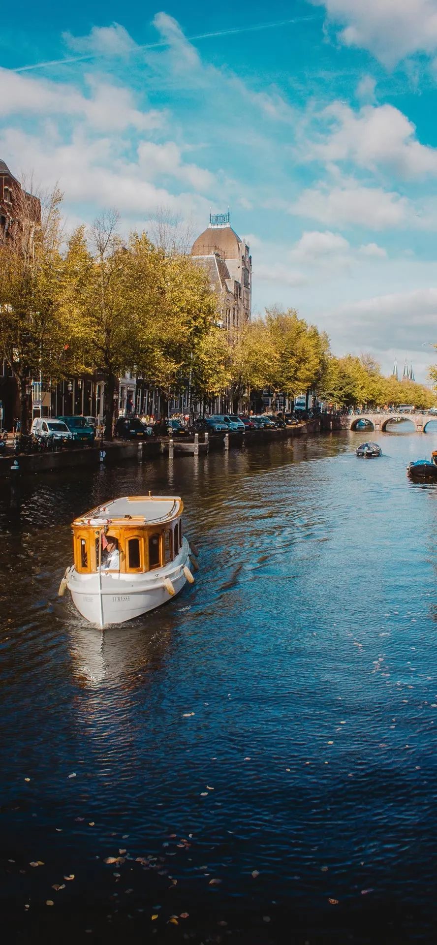 壁纸不要寄希望于别人多看自己,壁纸接受事与愿违