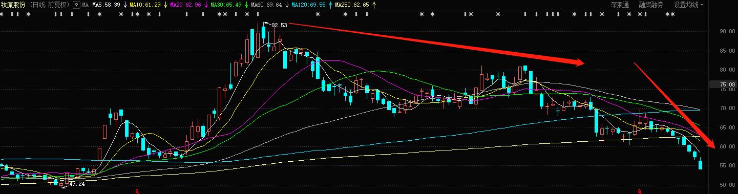 股市分析聊聊牧原股份,牧原股份明天还会继续跌吗