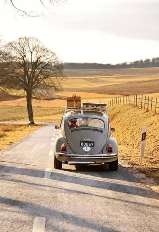 男生和女生一起旅行的感受,男人和女人的差别总结得太精辟了