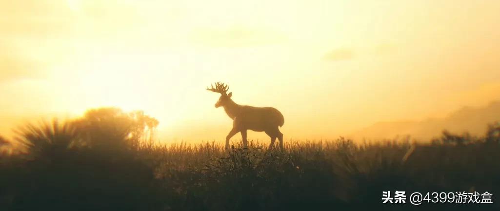 是什么原因让你放弃了一款游戏,为什么舍不得删除对方