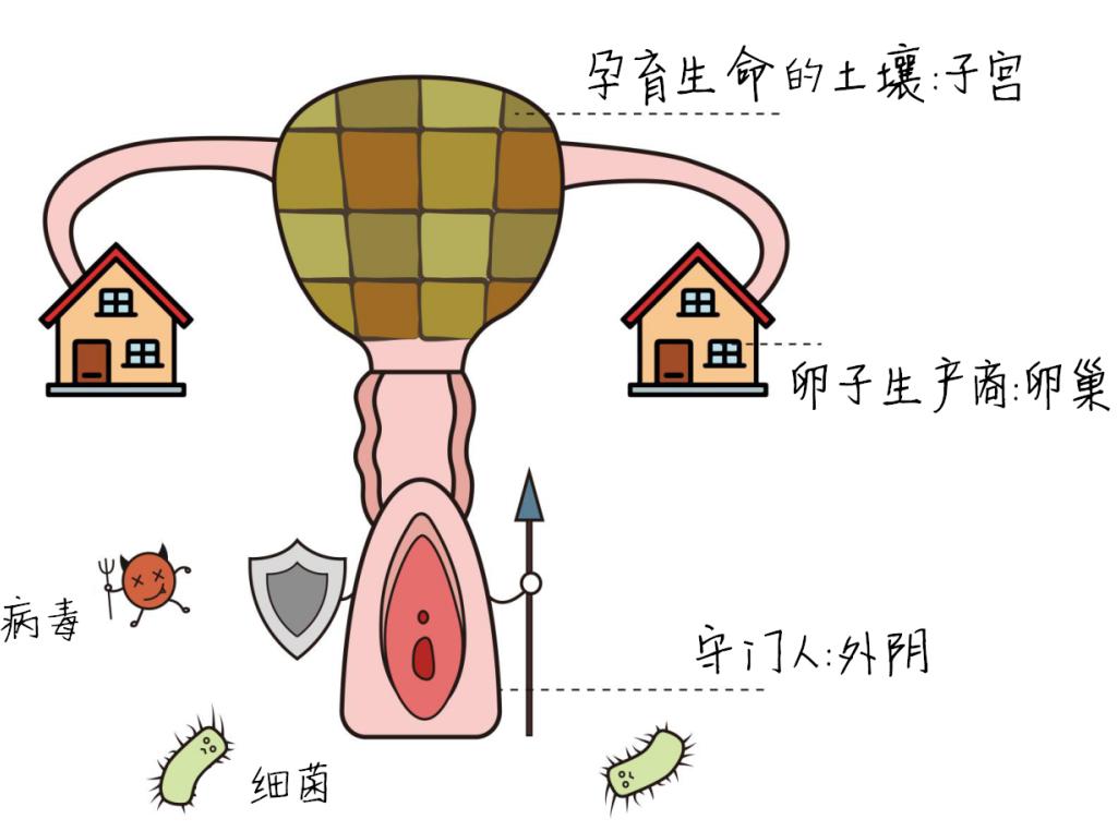 坚持三个方法远离妇科病,有没有可以抗所有妇科病的东西
