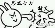 回顾2016，西方民主崩溃元年