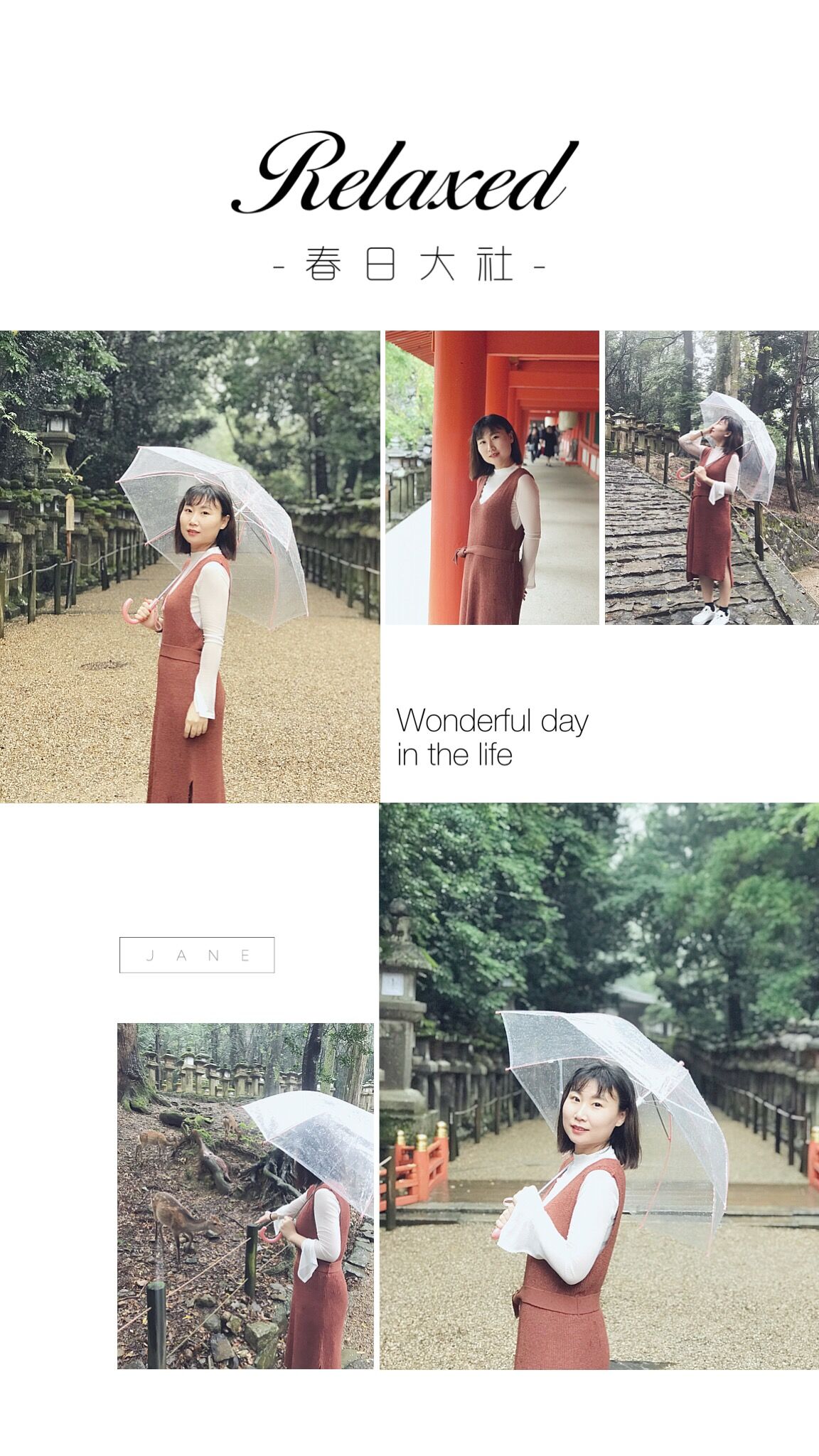 日本本州六日游攻略,日本本州旅游六日游