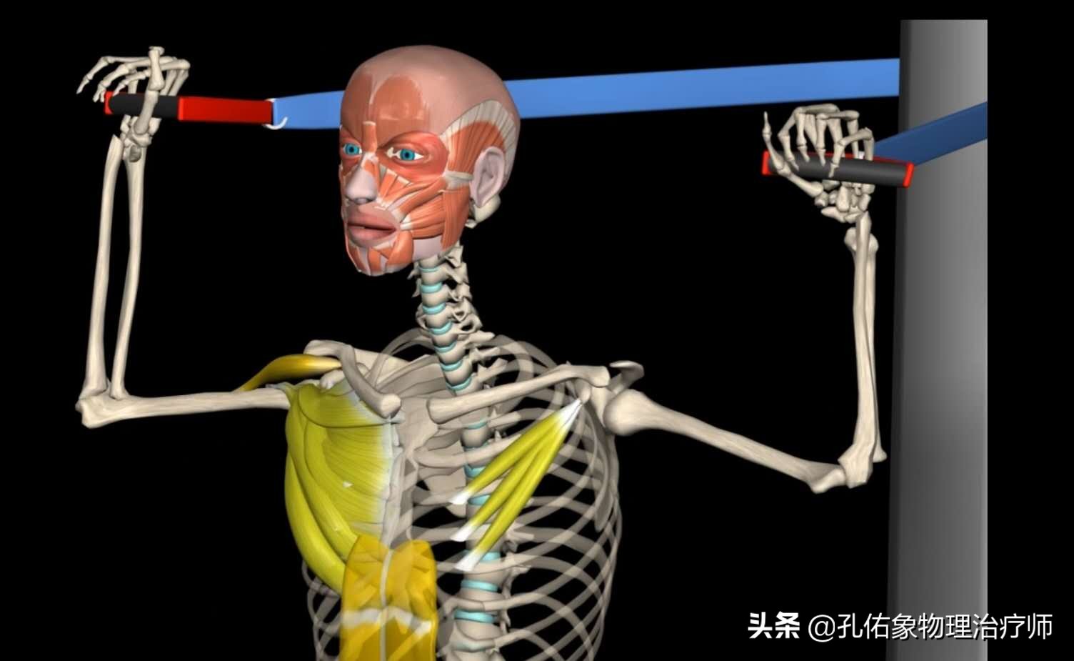 胸和肩胛骨疼痛是什么原因,右胸和后背肩胛骨疼痛是什么原因