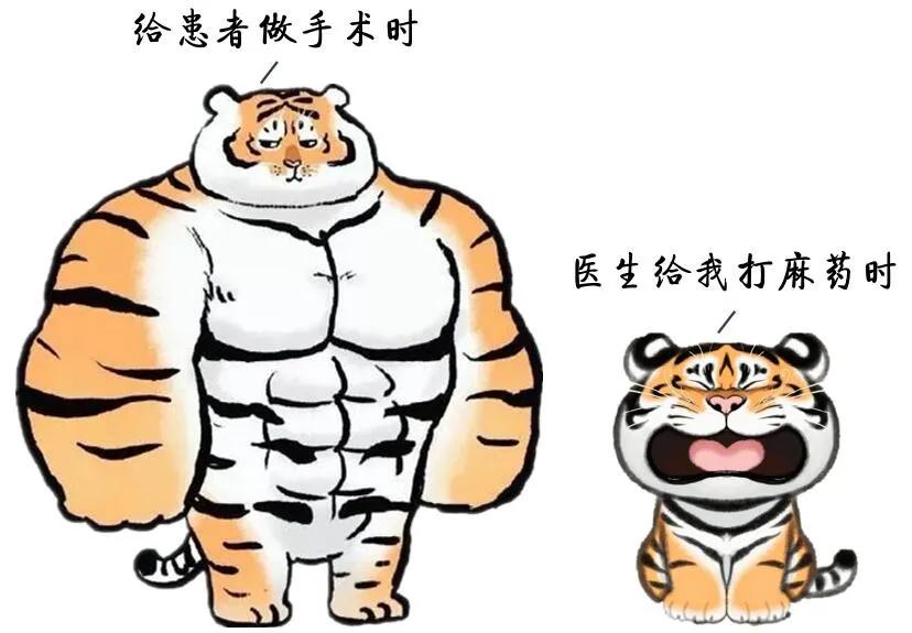 手术台上我无敌，小小塞牙我认怂！外科“一把刀”看牙记