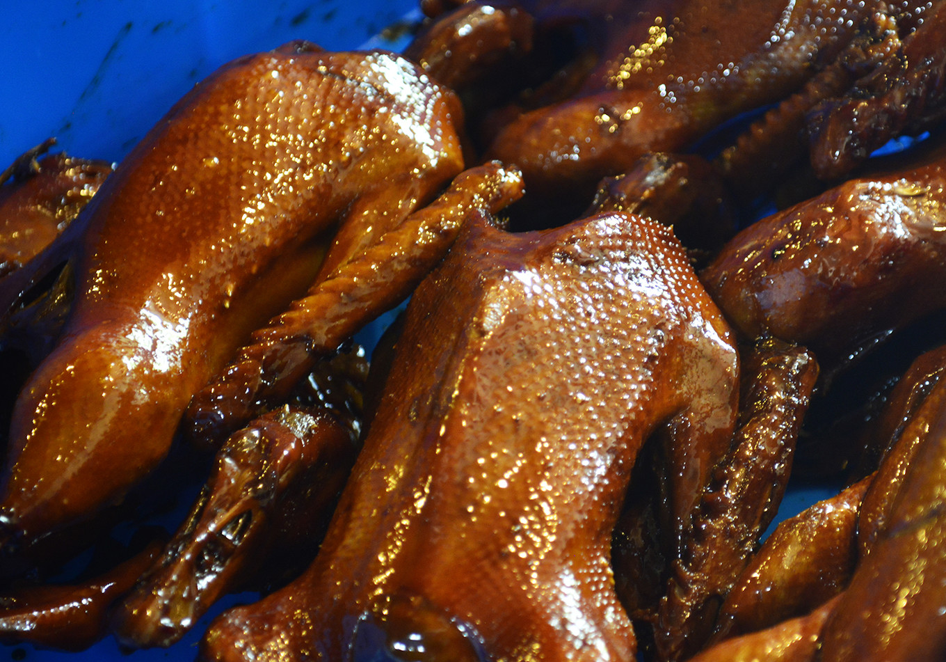 和小姐姐一起逛嘉兴吃百年传承的美味，大胆的把美好生活秀给你看