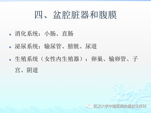 女性盆腔解剖与断层影像