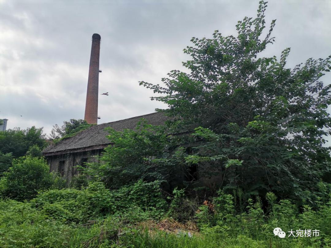 南阳市张仲景健康文化园规划,南阳张仲景文化园最新规划