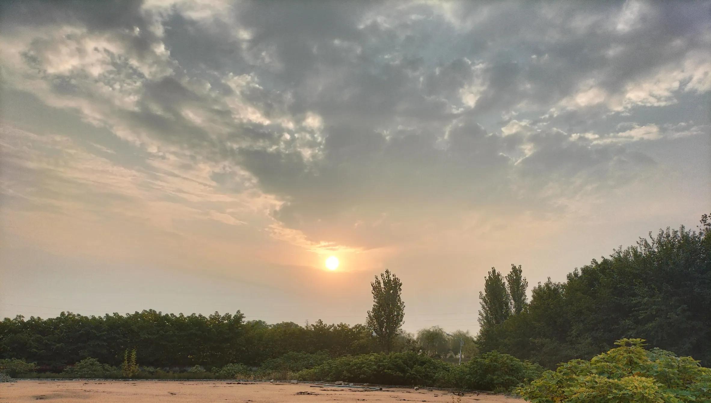 红杏电视剧30集在线免费观看,红杏七集