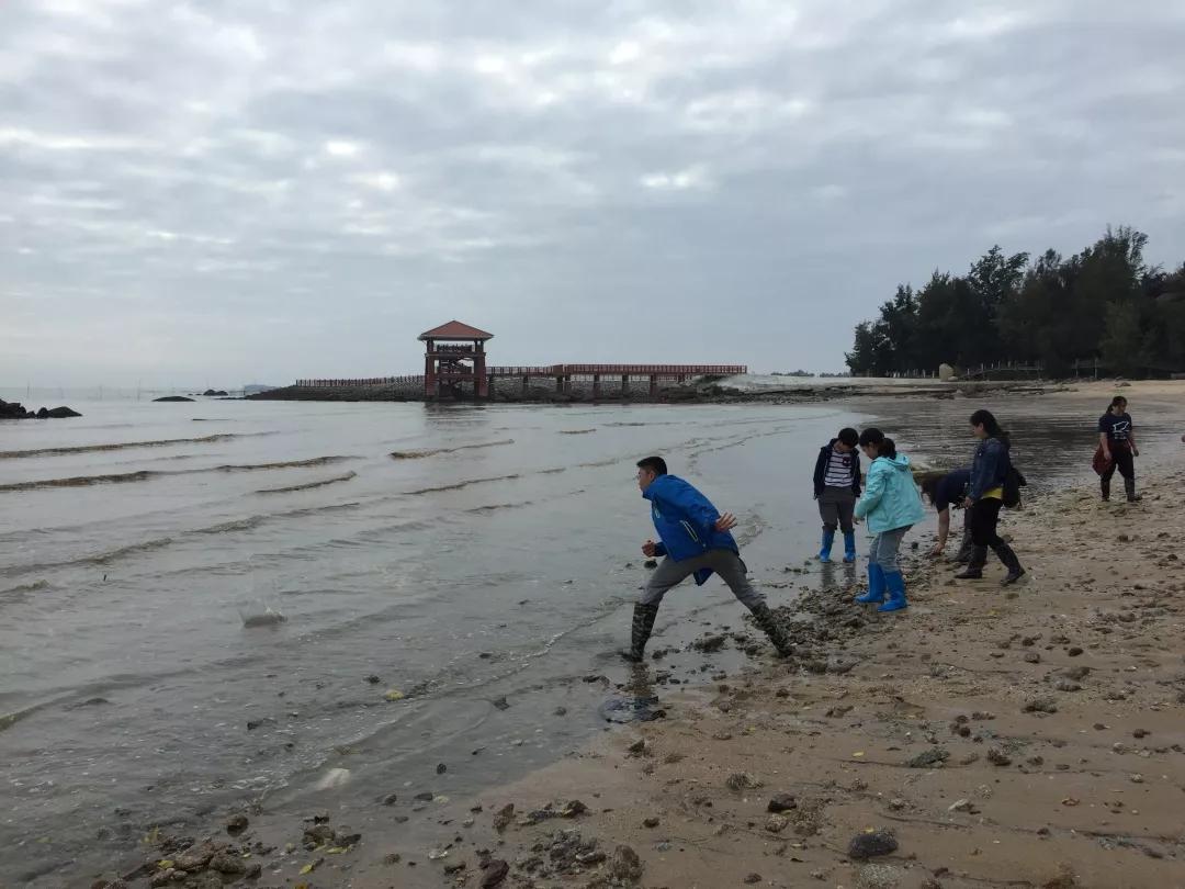 告别2019，迎来2020，在三娘湾与白海豚一起跨年