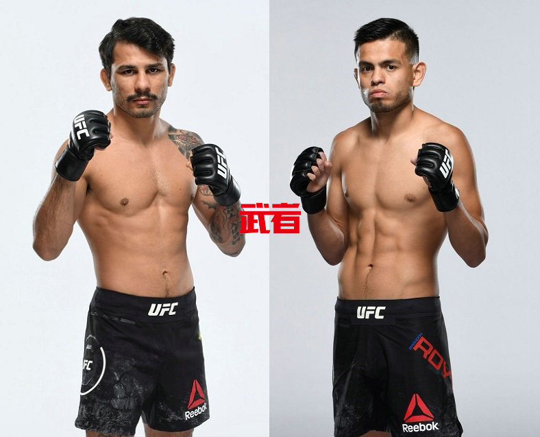 8月31日ufc格斗之夜深圳站,ufc272场比赛