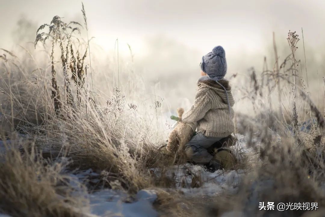 2020年IPA国际摄影奖获奖作品（专业组年度摄影师）