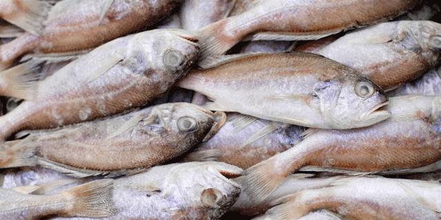 生鲜速达！诸城冷链物流渤海聪颖易购生鲜商城正式上线