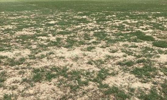 球场人造草坪施工方法,球场草坪施工方法教程