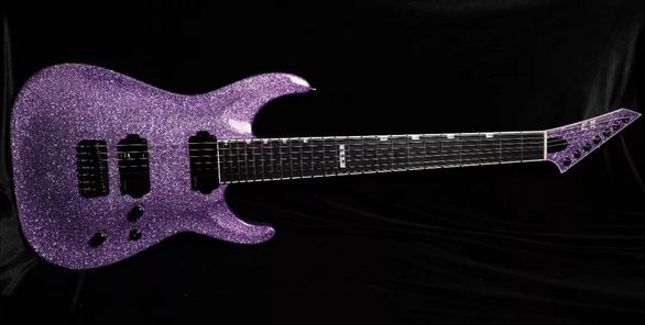 esp电吉他是哪个国家的,esp电吉他家族成员介绍