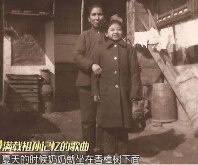 许志安和韩红接吻图片,韩红喜欢过栾树