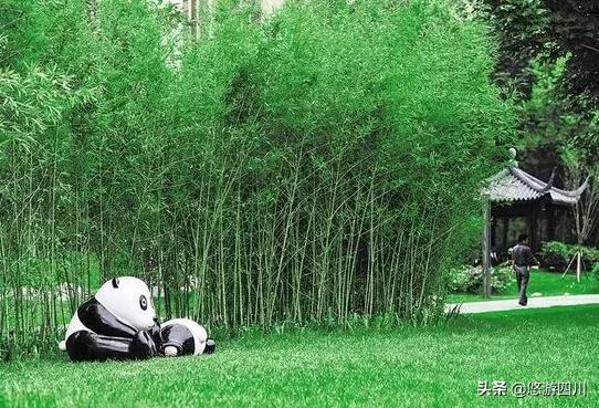 婕缁块亾鏃呮父鏅偣,鎴愰兘鏋楃洏缁块亾鏃呮父鏀荤暐