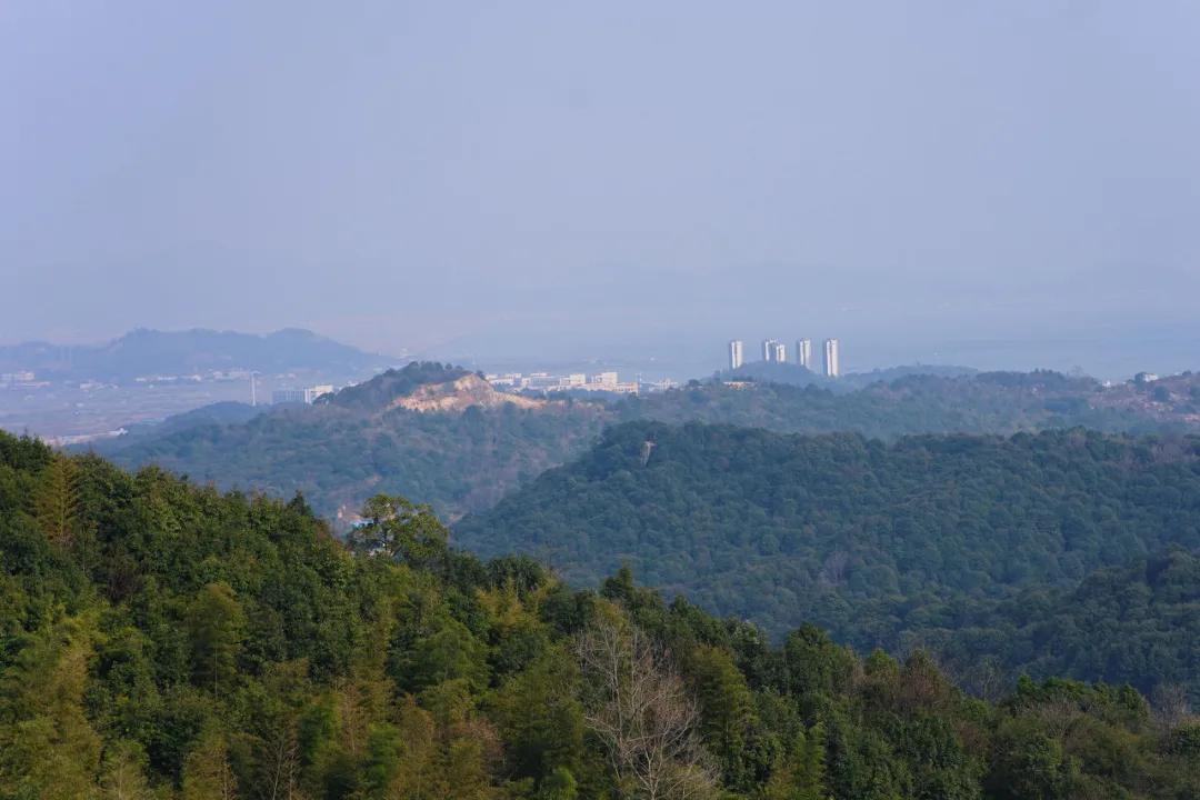 宁海属于中高风险吗,宁海潜力